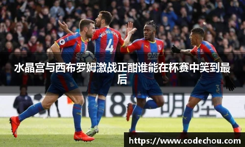 水晶宫与西布罗姆激战正酣谁能在杯赛中笑到最后